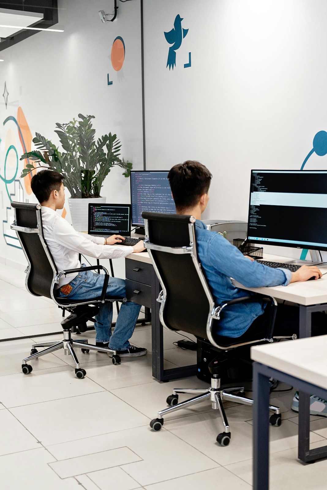 Why Choose Spider Code Web